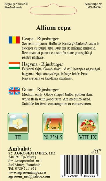 Ceapă - Rijnsburger