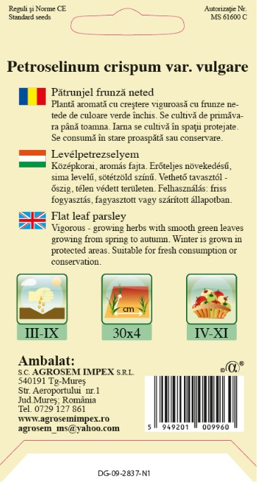 Pătrunjel frunză neted comun