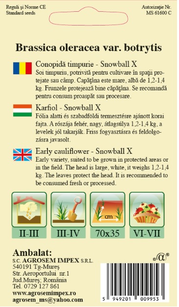 Conopidă timpurie - Snowball X