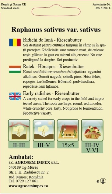 Ridichi de lună - Riesenbutter