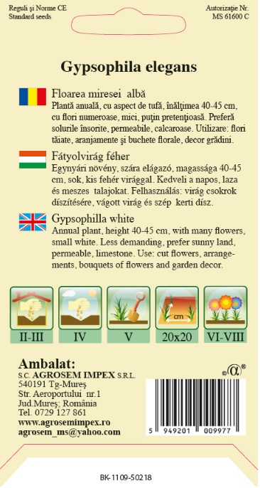 Floarea miresei albă