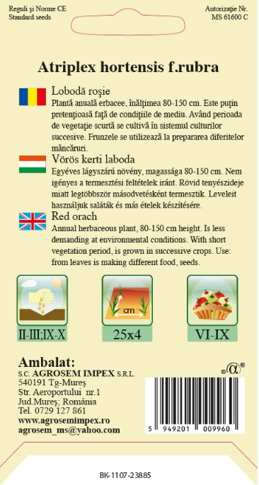 Lobodă roșie