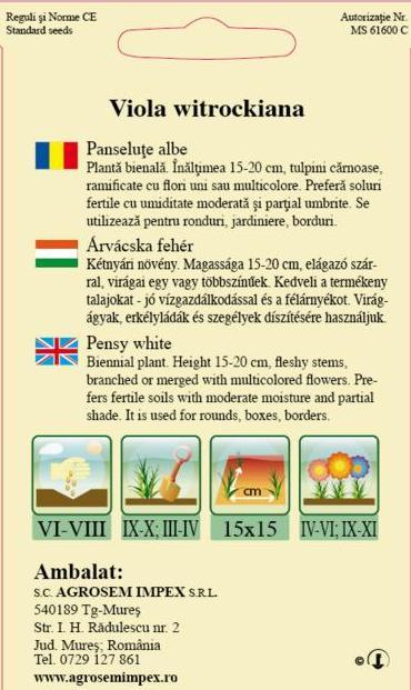 Panseluţe albe
