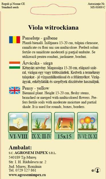 Panseluţe galbene