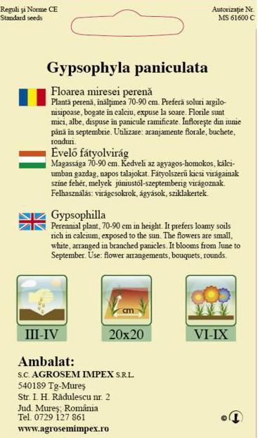 Floarea miresei perenă albă