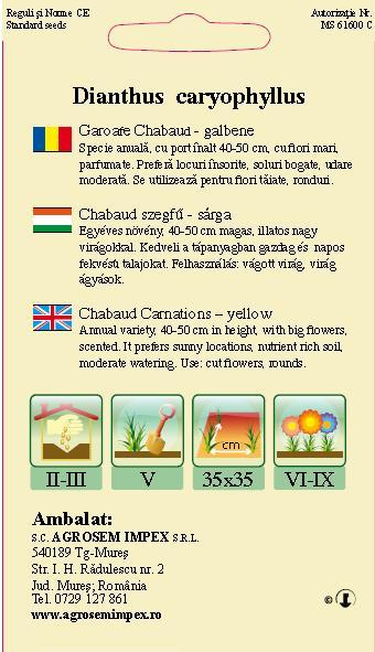 Garoafe Chabaud Galbene