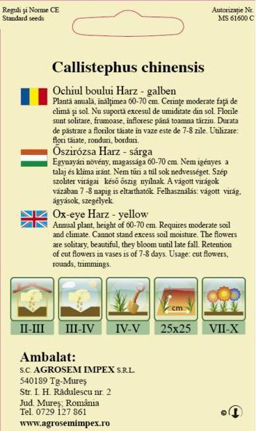 Ochiul boului Harz Galben