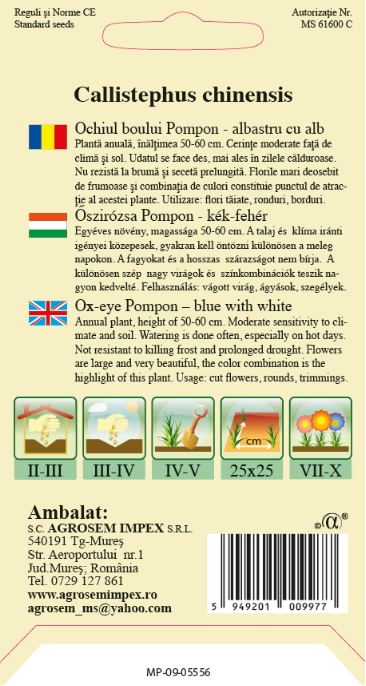 Ochiul boului Pompon Albastru cu Alb