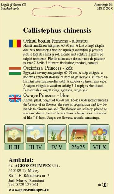 Ochiul Boului Princess Albastru