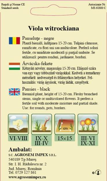Panseluţe negre