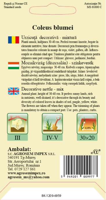 Urzicuţă decorativă