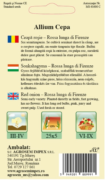 Ceapă roşie - Rossa lunga di Firenze