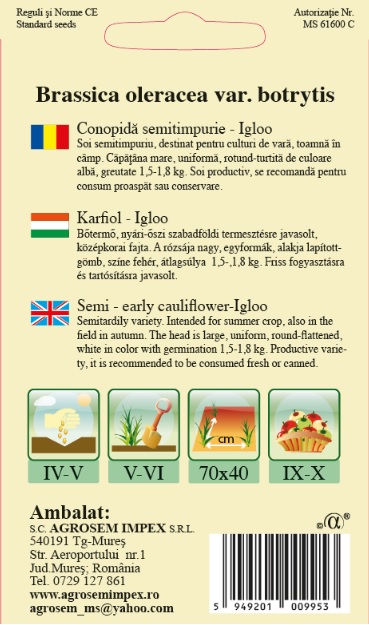 Conopidă semitimpurie - Igloo