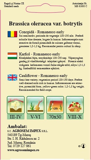 Conopidă - Romanesco early