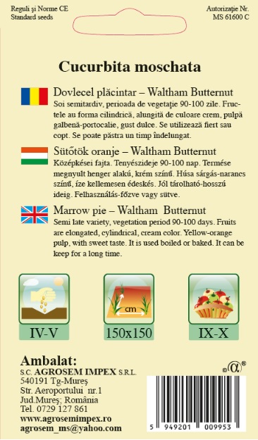 Dovlecel Plăcintar - Waltham Butternut