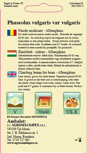 Fasole urcătoare - Albenghino
