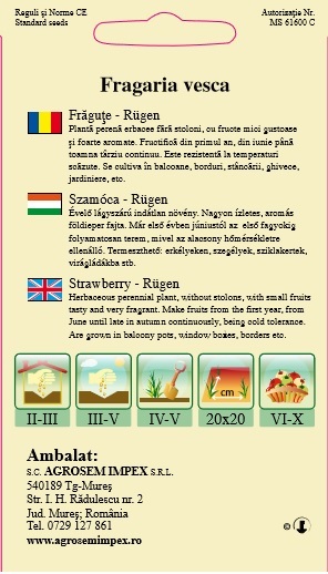Frăguțe - Rugen