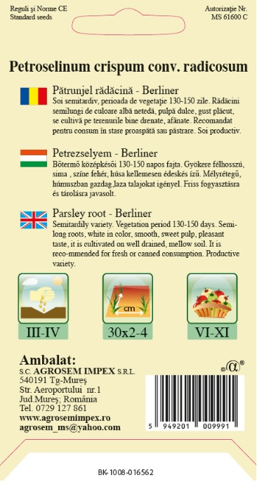 Pătrunjel rădăcină - Berliner