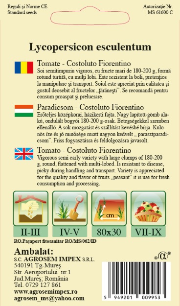 Tomate - Costoluto Fiorentino