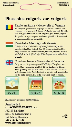 Fasole urcătoare - Meraviglia di Venezia