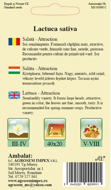 Salată - Attraction