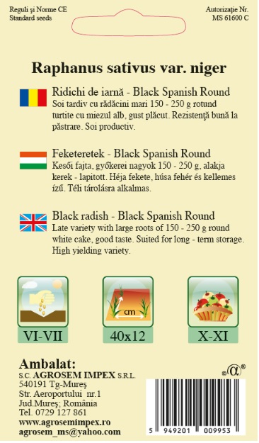 Ridichi de iarnă - Black Spanish Round