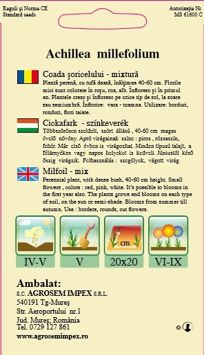 Coada șoricelului