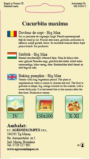 Dovleac de copt - Big Max