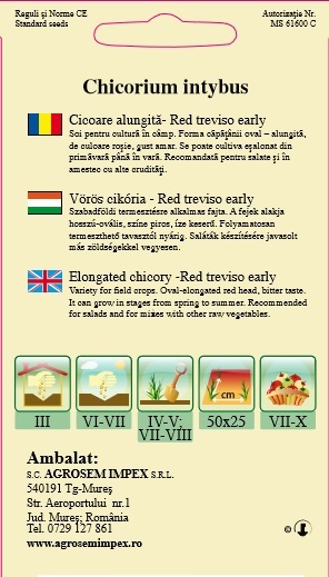 Cicoare - Red Treviso Early