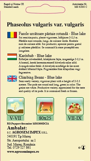 Fasole urcătoare - Blue Lake