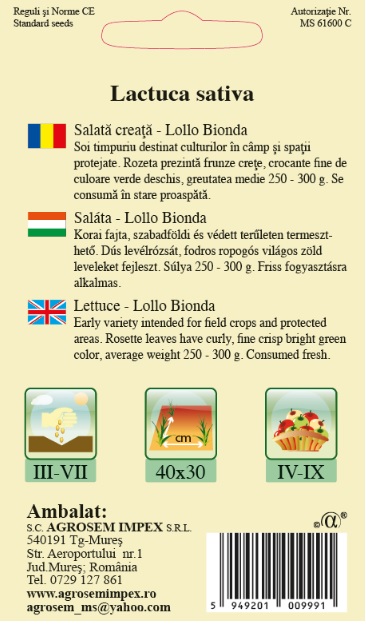 Salată creață - Lollo Bionda