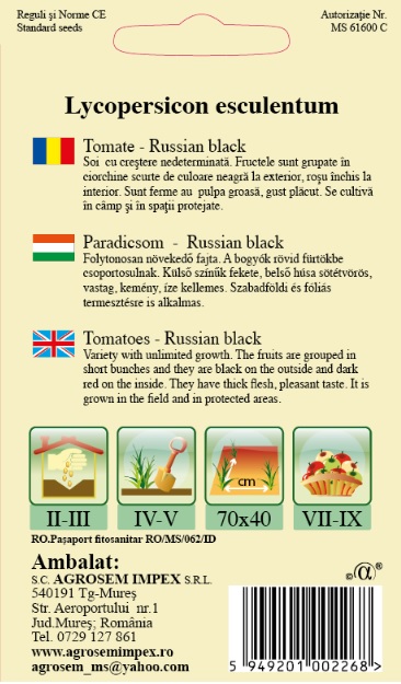 Tomate - Russian black