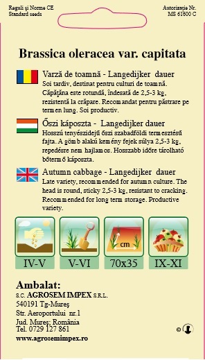 Varză de toamnă - Langedijker dauer