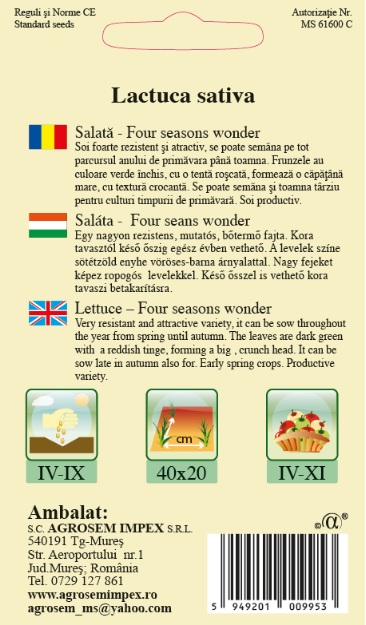 Salată - Four Seasons Wonder