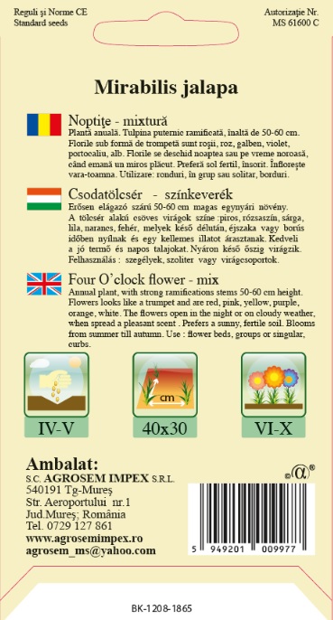 Noptițe