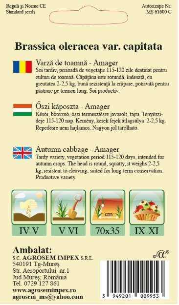 Varză de toamnă - Amager