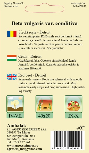 Sfeclă roşie - Detroit