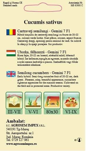 Castraveţi semilungi - Gemini F1