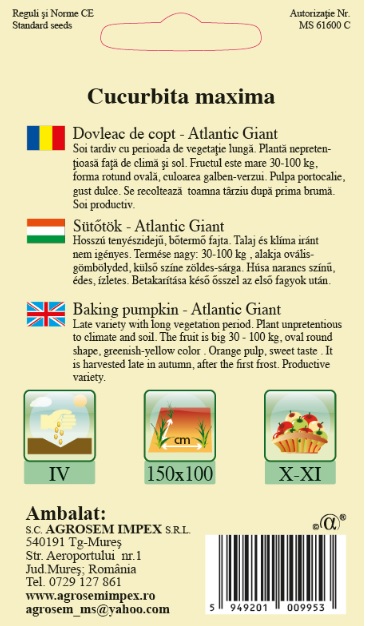 Dovleac de copt-Atlantic Giant