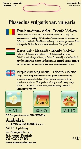 Fasole urcătoare -Trionfo Violetto