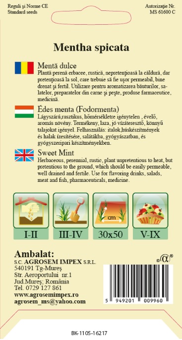 Mentă dulce