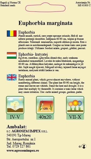 Euphorbia