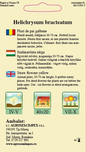 Flori de pai galbene