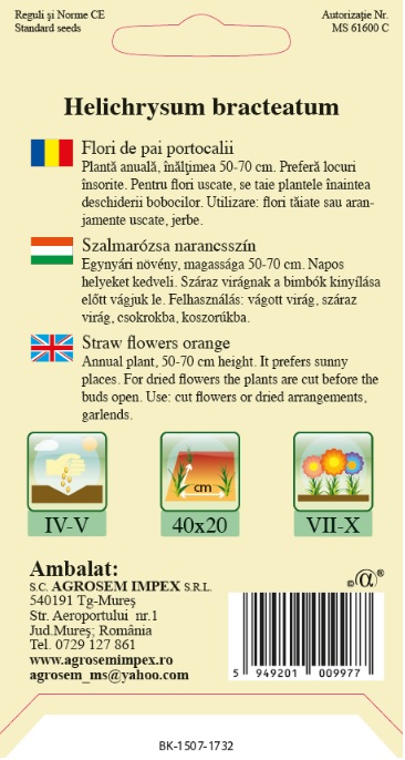 Flori de pai portocalii