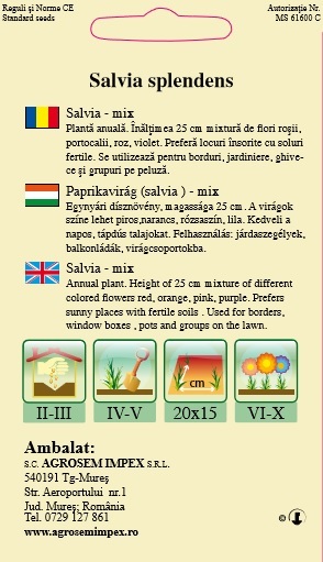 Salvia mică mix
