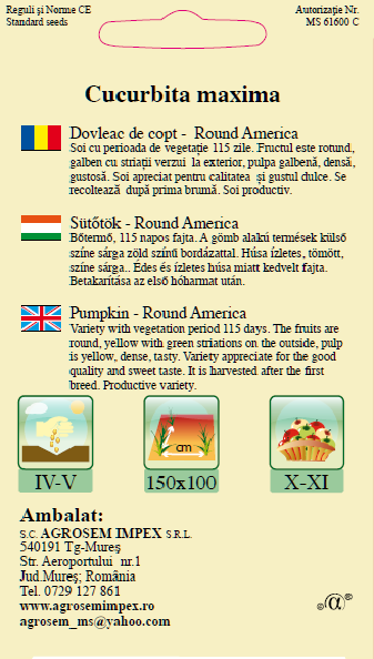 Dovleac de copt-Round America