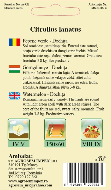 Pepene verde-Dochiţa