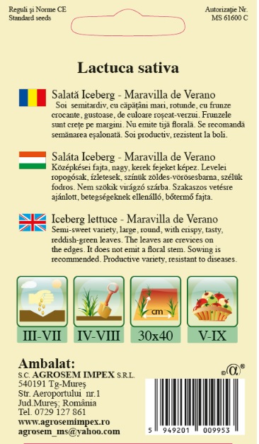 Salată Iceberg-Maravilla di Verano