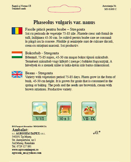 Fasole pitică-Stregonta