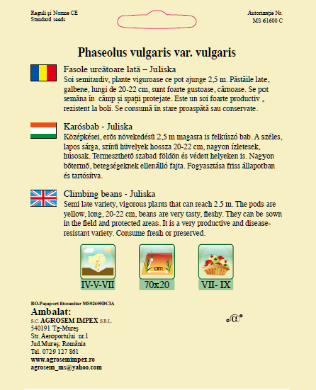 Fasole urcătoare lată-Juliska